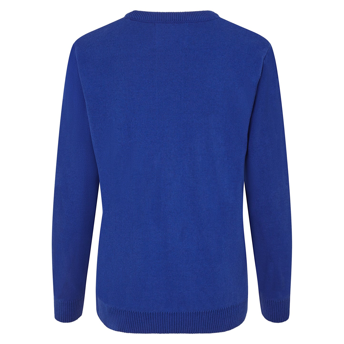 A Windy Day Womens Eco Christmas Jumper - Blue